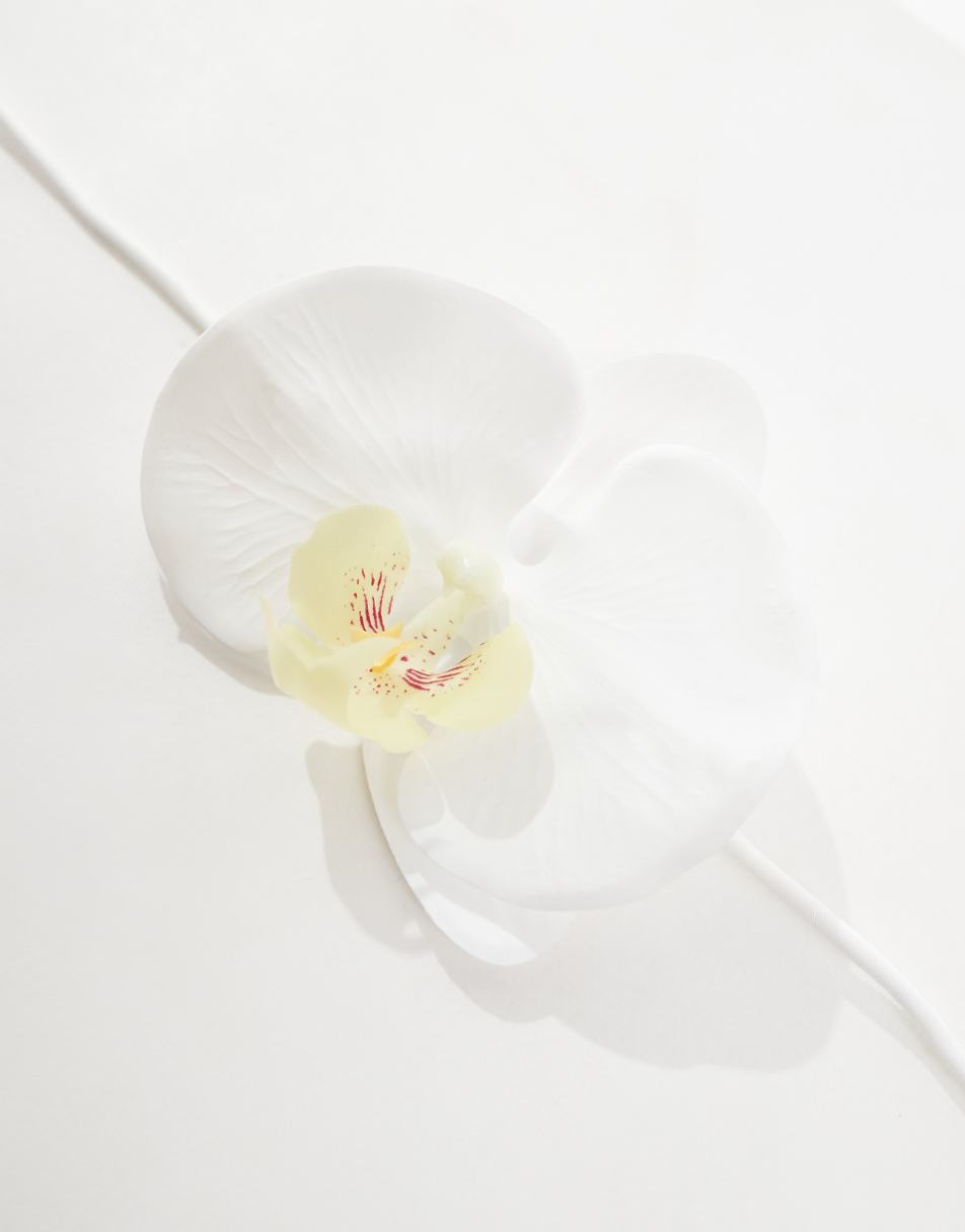 Kaiia tropical flower choker in white