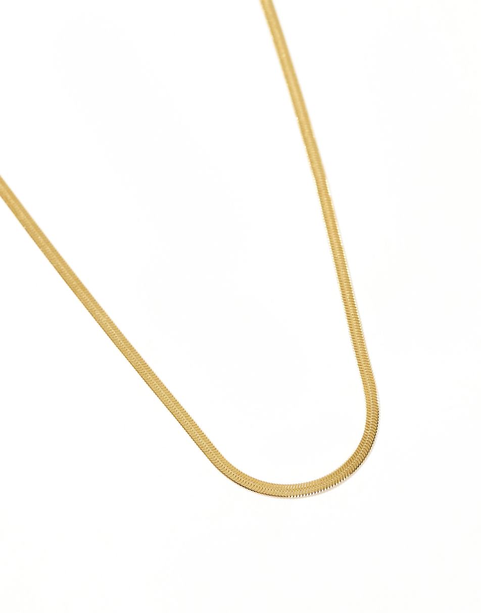 Lost Souls stainless steel 18kt gold plated flat snake chain necklace